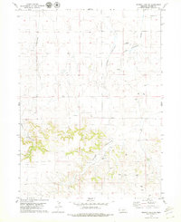 Download a high-resolution, GPS-compatible USGS topo map for Murray Lake SW, NE (1979 edition)