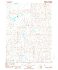 Download a high-resolution, GPS-compatible USGS topo map for Peter Long Lake, NE (1989 edition)