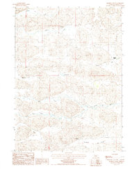 Download a high-resolution, GPS-compatible USGS topo map for Rosebud Valley, NE (1987 edition)