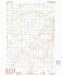 Download a high-resolution, GPS-compatible USGS topo map for Skunk Lake NW, NE (1989 edition)