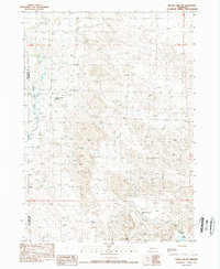 Download a high-resolution, GPS-compatible USGS topo map for Skunk Lake SW, NE (1989 edition)