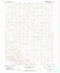 Download a high-resolution, GPS-compatible USGS topo map for Swedish Cemetery, NE (1993 edition)
