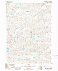 Download a high-resolution, GPS-compatible USGS topo map for Turpin Lake East, NE (1989 edition)