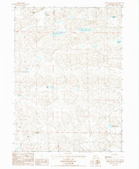 Download a high-resolution, GPS-compatible USGS topo map for White Willow Lake, NE (1987 edition)