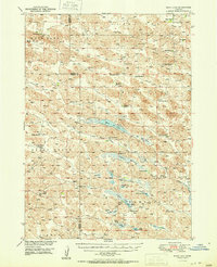 Download a high-resolution, GPS-compatible USGS topo map for Moon Lake, NE (1951 edition)