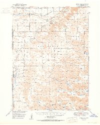Download a high-resolution, GPS-compatible USGS topo map for Skunk Lake, NE (1950 edition)