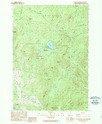 preview thumbnail of historical topo map of Coos County, NH in 1989