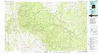 preview thumbnail of historical topo map of Catron County, NM in 1985