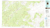 preview thumbnail of historical topo map of Catron County, NM in 1983