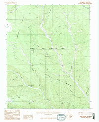 Download a high-resolution, GPS-compatible USGS topo map for Abreu Canyon, NM (1987 edition)