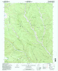 Download a high-resolution, GPS-compatible USGS topo map for Abreu Canyon, NM (1997 edition)