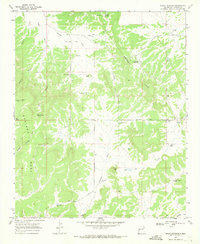 Download a high-resolution, GPS-compatible USGS topo map for Adams Diggings, NM (1971 edition)