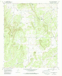 Download a high-resolution, GPS-compatible USGS topo map for Adams Diggings, NM (1986 edition)