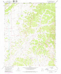 Download a high-resolution, GPS-compatible USGS topo map for Adobe Downs Ranch, NM (1980 edition)