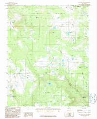 Download a high-resolution, GPS-compatible USGS topo map for Agua Fria Peak, NM (1987 edition)