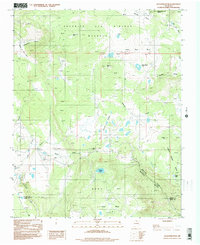 Download a high-resolution, GPS-compatible USGS topo map for Agua Fria Peak, NM (1998 edition)