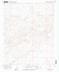 Download a high-resolution, GPS-compatible USGS topo map for Alamo Mesa East, NM (1979 edition)