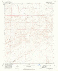 Download a high-resolution, GPS-compatible USGS topo map for Alamo Mesa East, NM (1969 edition)