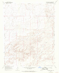 Download a high-resolution, GPS-compatible USGS topo map for Alamo Mesa West, NM (1969 edition)