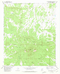 Download a high-resolution, GPS-compatible USGS topo map for Alegres Mountain, NM (1981 edition)