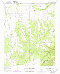 Download a high-resolution, GPS-compatible USGS topo map for Alire, NM (1980 edition)