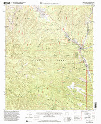Download a high-resolution, GPS-compatible USGS topo map for Allie Canyon, NM (2002 edition)
