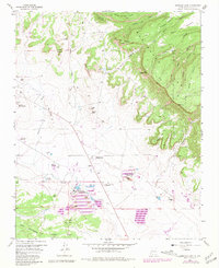 Download a high-resolution, GPS-compatible USGS topo map for Ambrosia Lake, NM (1981 edition)