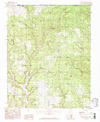 Download a high-resolution, GPS-compatible USGS topo map for Anastacio Spring, NM (1985 edition)