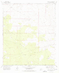 Download a high-resolution, GPS-compatible USGS topo map for Andrews Place, NM (1976 edition)