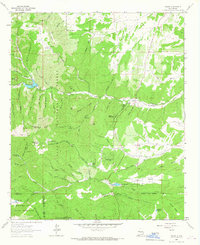 Download a high-resolution, GPS-compatible USGS topo map for Angus, NM (1967 edition)