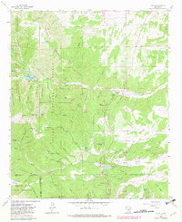 Download a high-resolution, GPS-compatible USGS topo map for Angus, NM (1982 edition)
