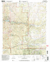 Download a high-resolution, GPS-compatible USGS topo map for Angus, NM (2006 edition)