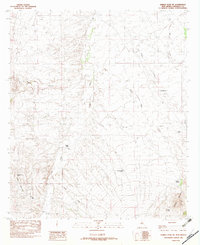 Download a high-resolution, GPS-compatible USGS topo map for Animas Peak NE, NM (1982 edition)