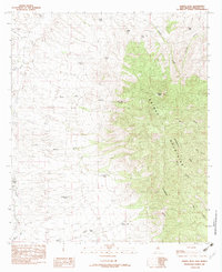 Download a high-resolution, GPS-compatible USGS topo map for Animas Peak, NM (1982 edition)
