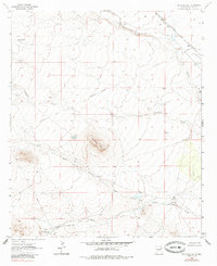preview thumbnail of historical topo map of Luna County, NM in 1963