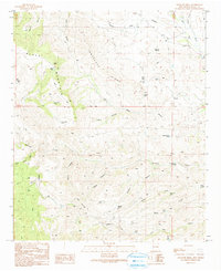 Download a high-resolution, GPS-compatible USGS topo map for Antelope Ridge, NM (1991 edition)