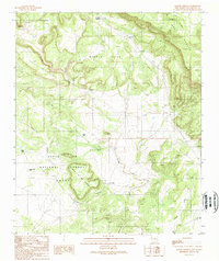 preview thumbnail of historical topo map of Sierra County, NM in 1989