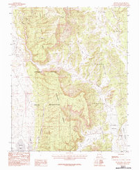 Download a high-resolution, GPS-compatible USGS topo map for Apache%20Mesa, NM (1983 edition)