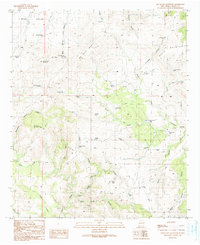 Download a high-resolution, GPS-compatible USGS topo map for Applegate Mountain, NM (1991 edition)