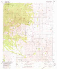 Download a high-resolution, GPS-compatible USGS topo map for Arabela, NM (1981 edition)