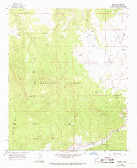 Download a high-resolution, GPS-compatible USGS topo map for Aragon, NM (1968 edition)