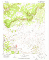 Download a high-resolution, GPS-compatible USGS topo map for Arroyo Alamocito, NM (1975 edition)