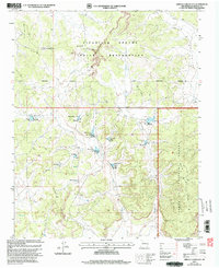 Download a high-resolution, GPS-compatible USGS topo map for Arroyo Chijuillita, NM (2003 edition)
