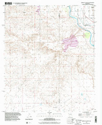 Download a high-resolution, GPS-compatible USGS topo map for Arroyo Cuervo, NM (2002 edition)