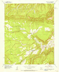 Download a high-resolution, GPS-compatible USGS topo map for Arroyo Del Agua, NM (1955 edition)