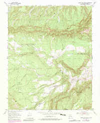 Download a high-resolution, GPS-compatible USGS topo map for Arroyo Del Agua, NM (1983 edition)