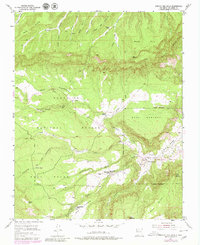 Download a high-resolution, GPS-compatible USGS topo map for Arroyo Del Agua, NM (1980 edition)