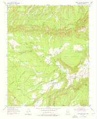Download a high-resolution, GPS-compatible USGS topo map for Arroyo Del Agua, NM (1976 edition)