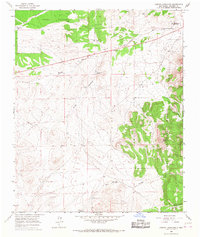 Download a high-resolution, GPS-compatible USGS topo map for Arroyo Landavaso, NM (1967 edition)