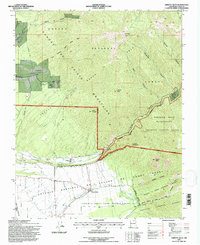 Download a high-resolution, GPS-compatible USGS topo map for Arroyo Seco, NM (1997 edition)